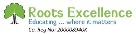 Roots Excellence Pte Ltd